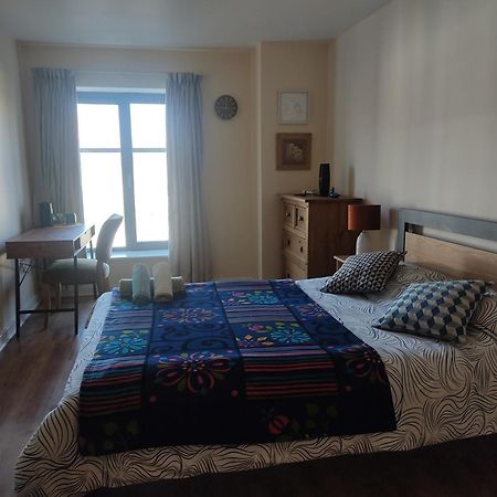 Swallows Nest - Spacious Bright Double Bedroom With Ensuite Bathroom Dublin Exterior photo
